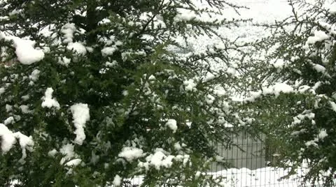Winter cold and flu Stock Footage