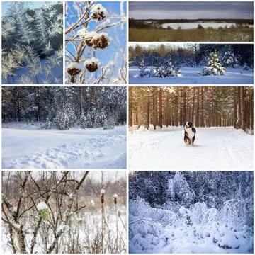 Winter collage Stock Photos
