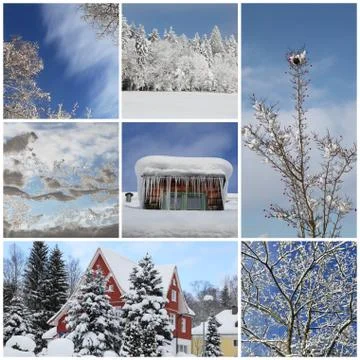 Winter collage with snow, forest - winter season - snowy trees Stock Illustration