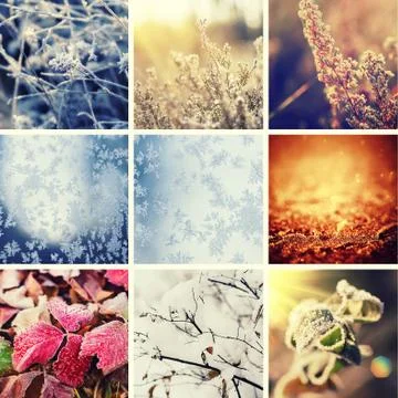 Winter collection Stock-Fotos