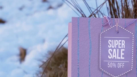 Winter Collection Sale Stock After Effects