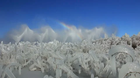 Winter colors Stock Footage 47266541