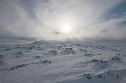 Winter is coming Fotos Stock