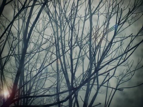 Winter is coming Foto stock