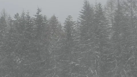 Winter is Comming Stock Footage 100063079