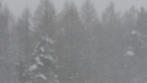 Winter is Comming Stock Footage 100069218