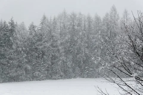 Winter is comming Stock-Fotos