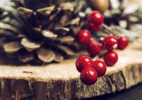 Winter composition. Stock Photos