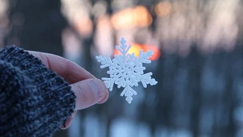 Winter concept, hand holding a snowflake at sunset in the winter forest Stock Footage 74409973