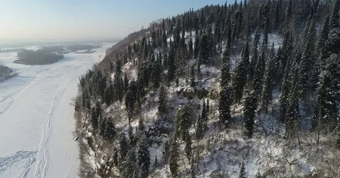 Winter coniferous forest Stock Footage 83248753