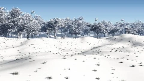 Winter Coppice Stock Illustration