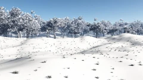 Winter Coppice Stock Illustration