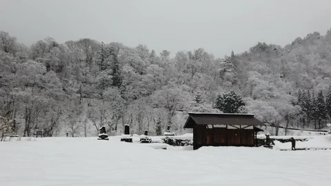 Winter countryside with falling snow, old cabin and tree on mountain Stock Footage 114076165