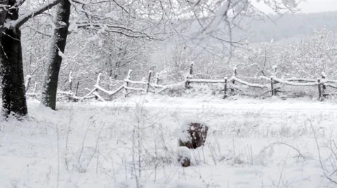 Winter Countryside   Stock Footage 47621132