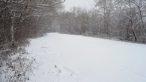 Winter countryside landscape Stock Footage 96126345