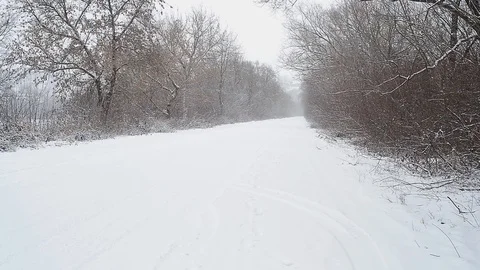 Winter countryside landscape Video stock 96126475