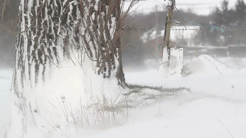 Winter countryside landscape: wind blowing snow Stock Footage 89790502