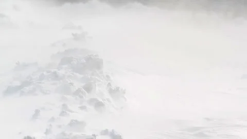 Winter countryside landscape: wind blowing snow Stock Footage 89790973