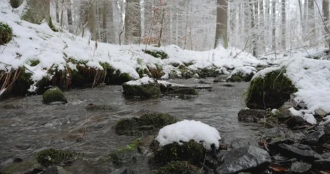 Winter creek flows through a snowy forest Stock Footage 306968988