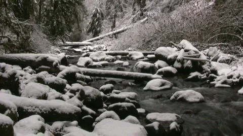 Winter Creek Stock Footage 303290
