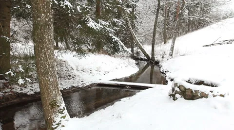 Winter creek Stock Footage 46632702