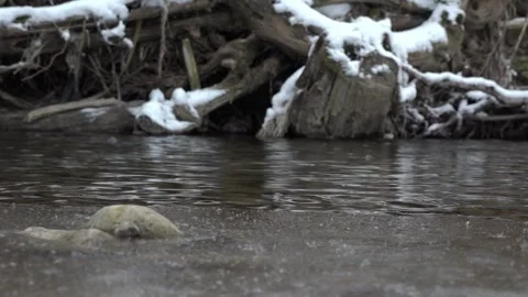 Winter creek Stock-Footage 262188936