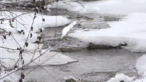 Winter creek Stock Footage 262270888