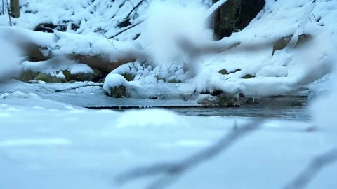 Winter creek Stock Footage 262358182