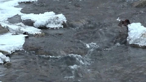 Winter creek Stock-Footage 262361610