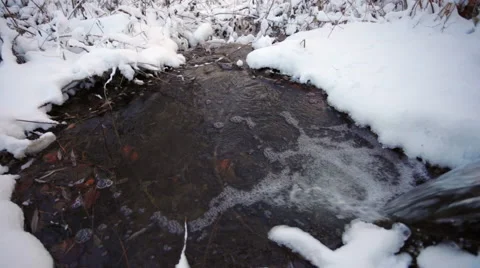 Winter creek in the forest 库存影片 44248742