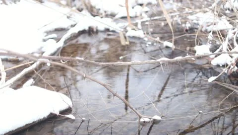 Winter creek with snow Stock-Footage 10728309