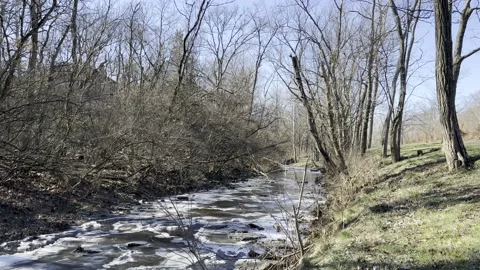 Winter creek, winter stream Video stock 169352183