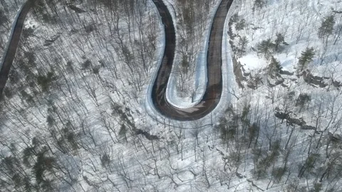 Winter Curved Road Drone Fly Over Sparse Trees Stock Footage 255751116