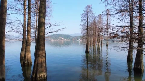 Winter Cypress Trees Reflecting on Siming Lake in Ningbo, China Stockbeeldmateriaal 347393435