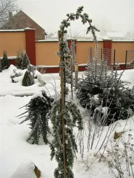 Winter in CZ Stock Photos