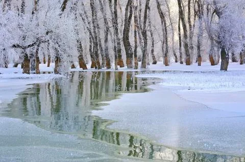 Winter on danube Stock Photos