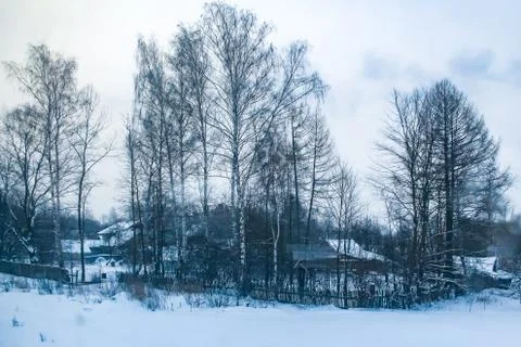 Winter dark forest at dusk Stock Photos