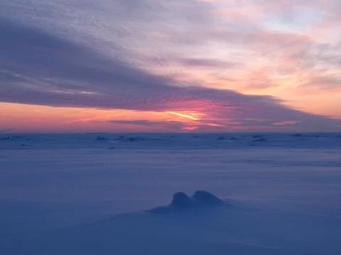 Winter, dawn 7 Stock Photos