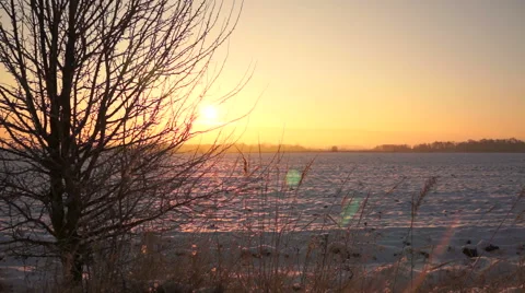 Winter dawn in the field Stock-Footage 44664824