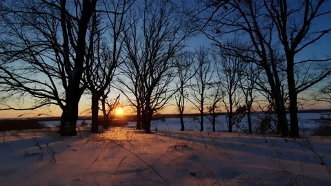 Winter dawn Stock Footage 161589323