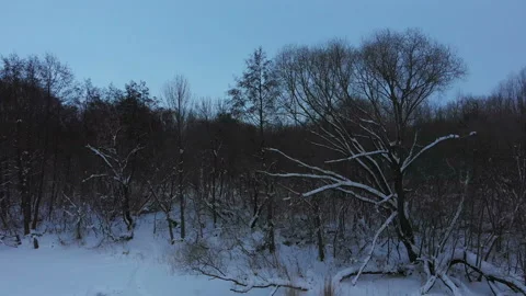 Winter day 2 Stock Footage 101296295