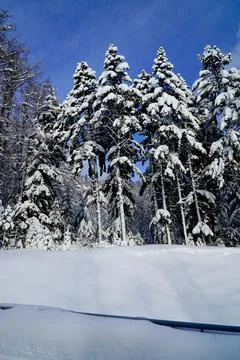 Winter day after the cyclone Stock Photos