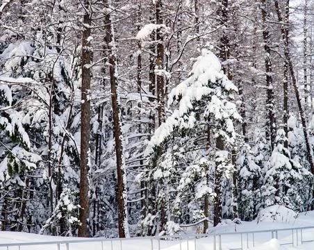 Winter day after the cyclone Stock Photos