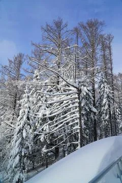 Winter day after the cyclone Stock Photos