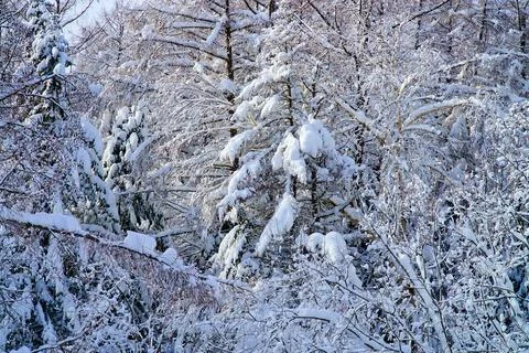 Winter day after the cyclone Stock Photos