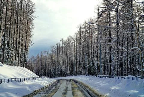 Winter day after the cyclone Stock Photos