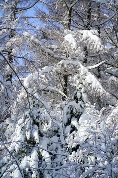 Winter day after the cyclone Stock Photos