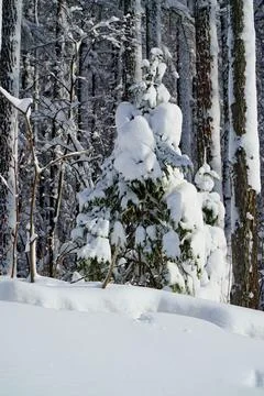 Winter day after the cyclone Stock Photos