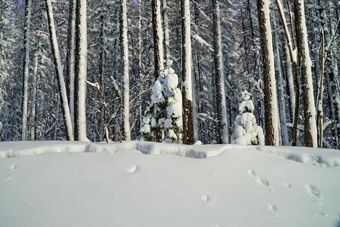 Winter day after the cyclone Stock Photos