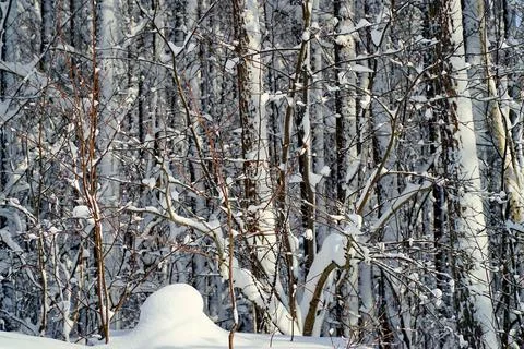 Winter day after the cyclone Stock Photos